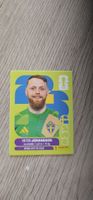 Fifa World Cup Panini SWE 2
