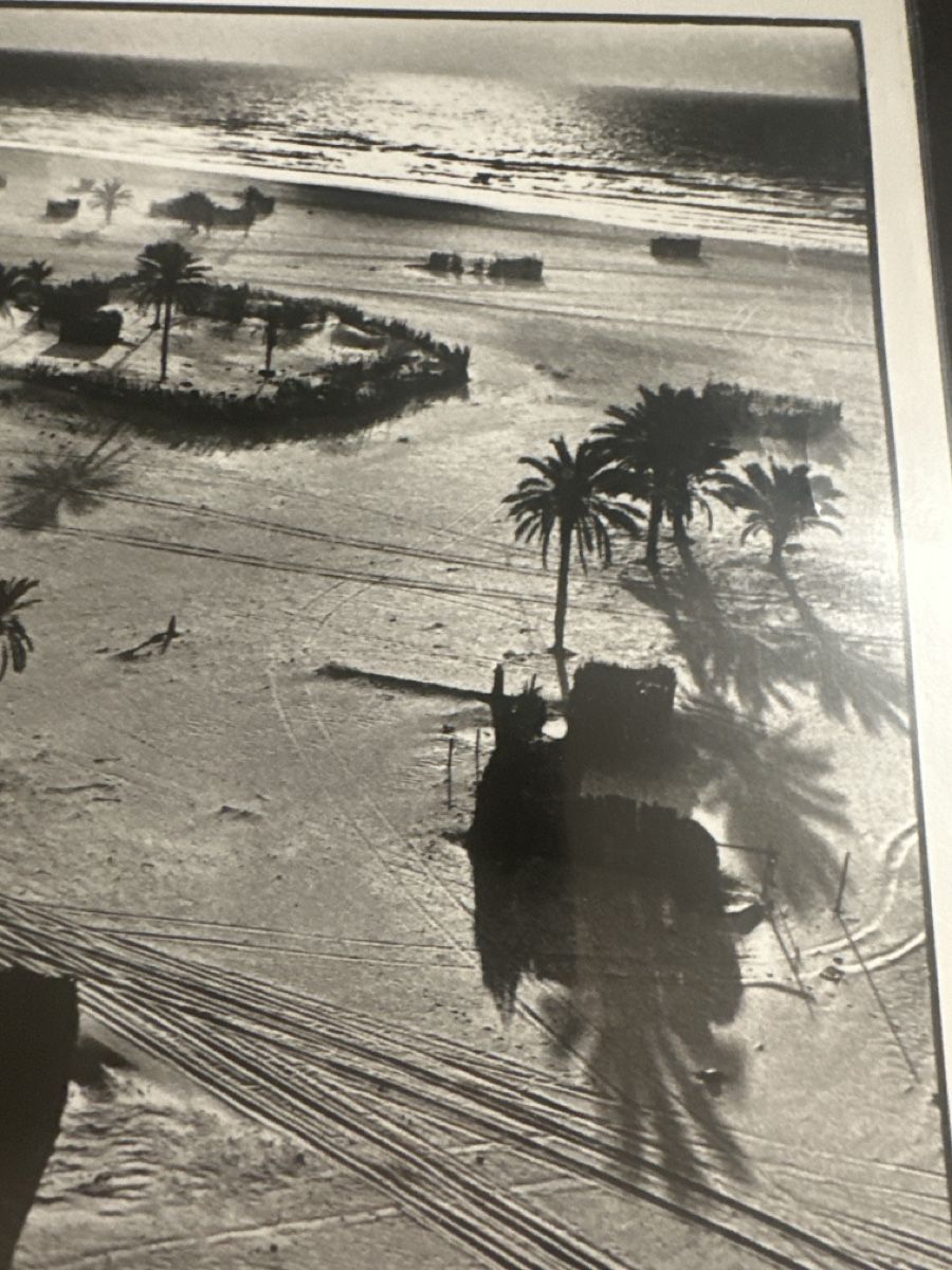 Foto & Immagini: René Burri Foto – Usato da Saanen venduto da Mikeman2 3