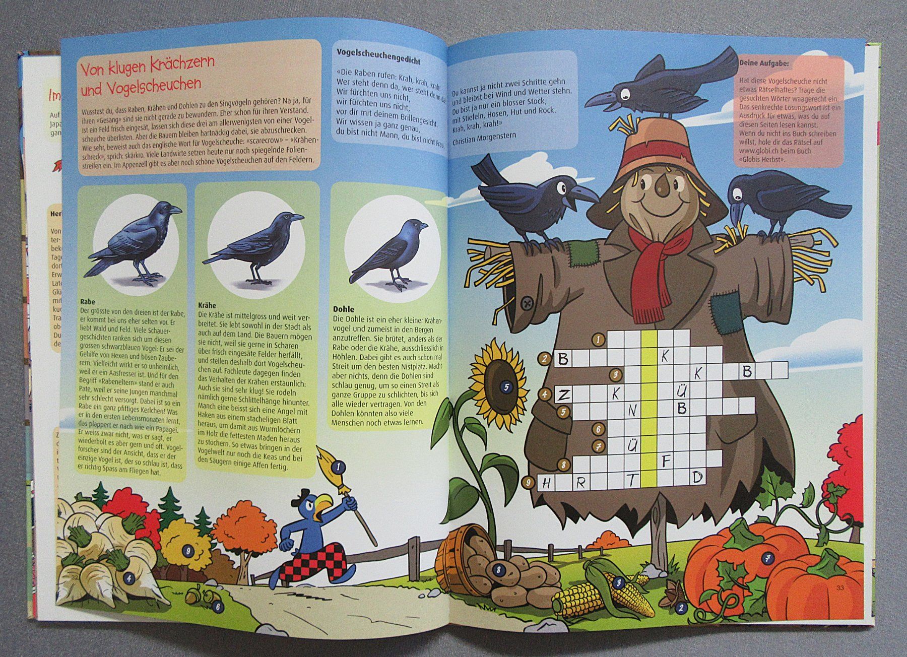 Libri: Globis Herbst - Mit Globi durch das Jahr – Usato da Auenstein venduto da Padabimbim 5