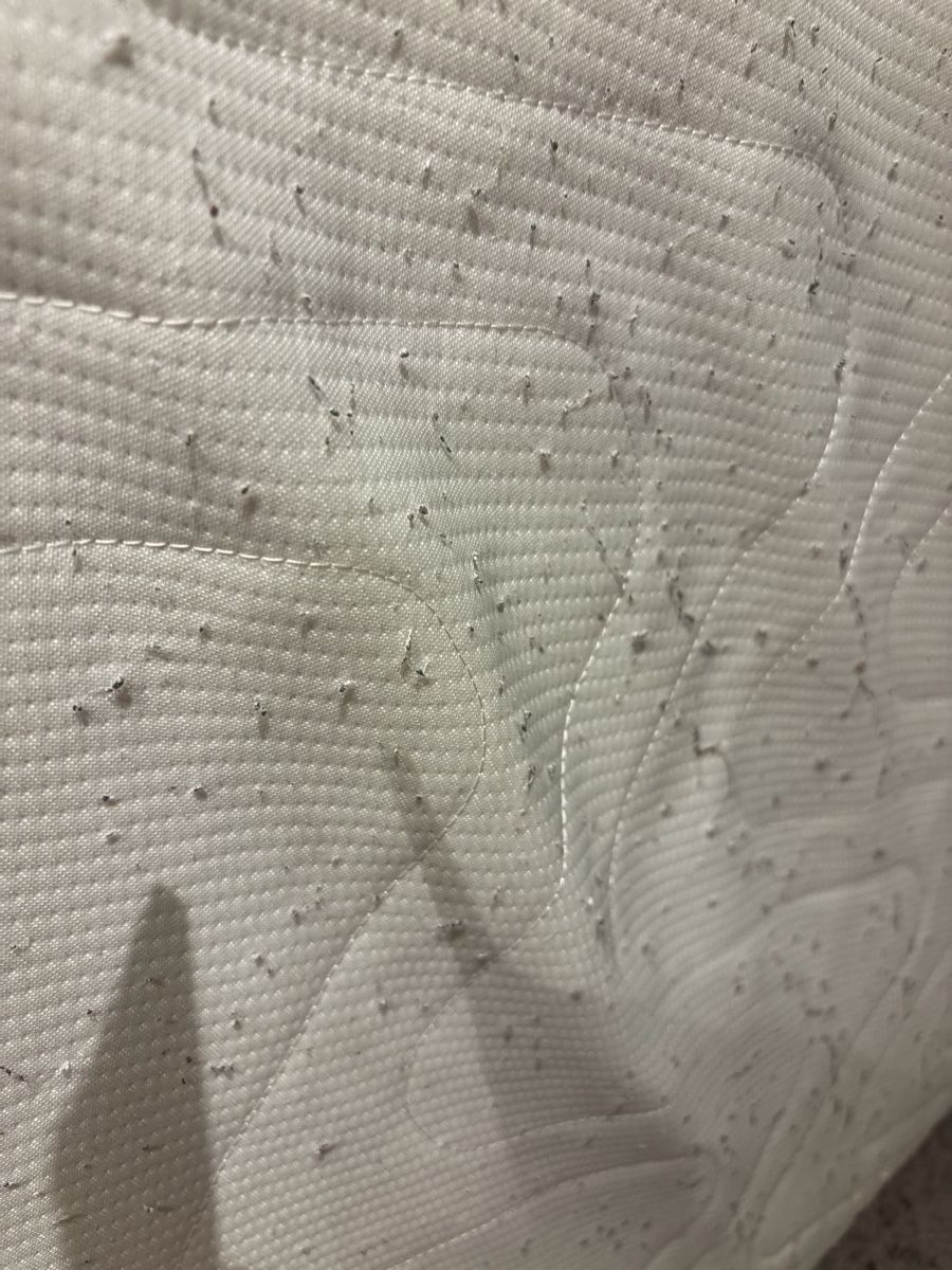 Materassi: Matratze 100x200cm Gebraucht – Usato da Zürich venduto da Ibifand 3