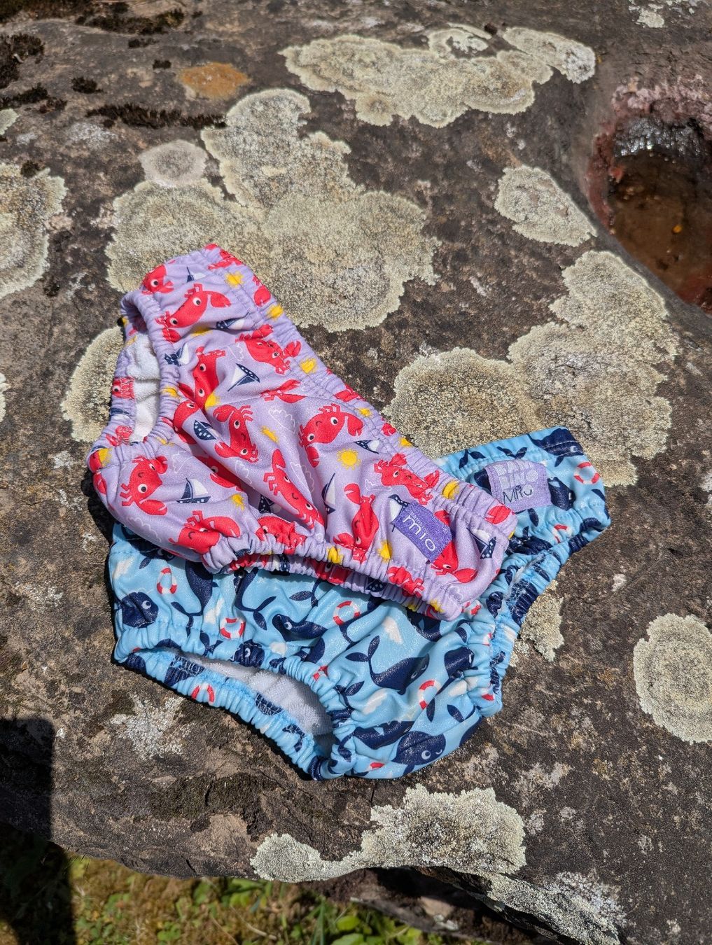 Costumi da bagno: Schwimmwindeln Bambino MIO 2 Stk – Nuovo (secondo la descrizione) da Krattigen venduto da m91arco