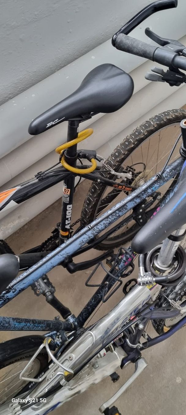 Biciclette: 3x Fahrräder – Usato da Hittnau venduto da Beblue33 7