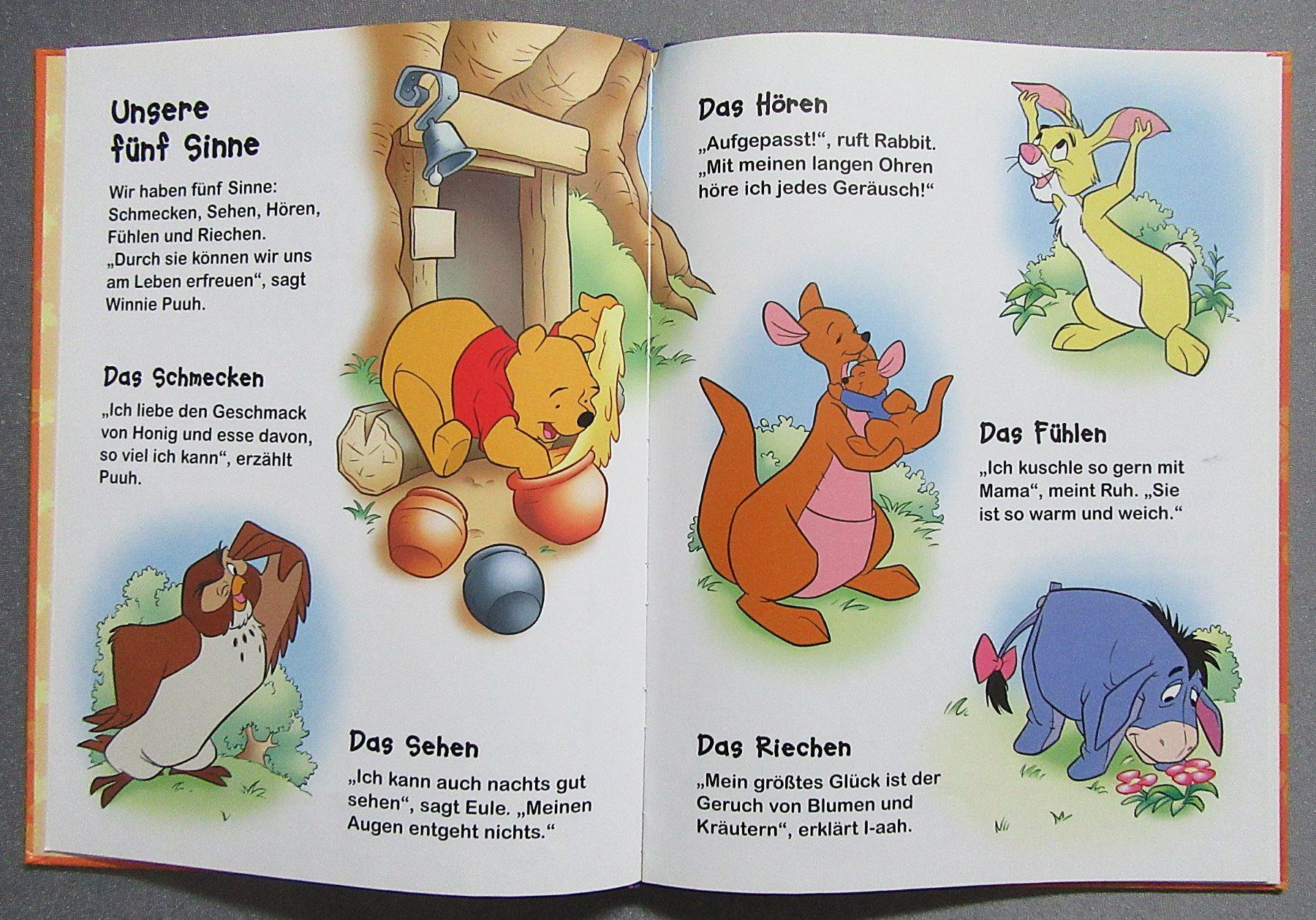 Libri: Winnie Puuh - Entdecke die 5 Sinne – Usato da Auenstein venduto da Padabimbim 1