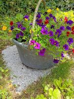 Blumenampel mit Sommerblumen aus Gusseisen