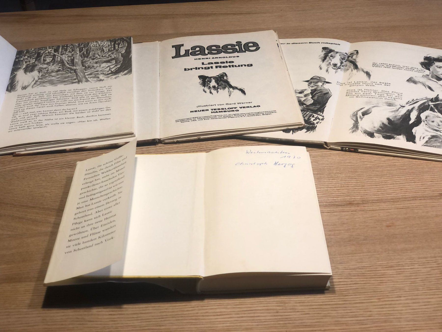 Libri: "Lassie" 4 Kinder-/Jugendbuchklassiker – Usato da Röschenz venduto da Tashroal 2