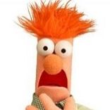 Profile image of muppets