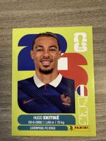 Panini Fifa FRA 19