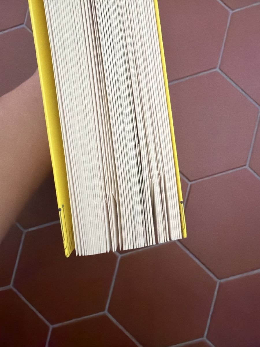 Libri: Buch Ein Algorithmus hat kein Taktgefühl – Usato da Schliern b. Köniz venduto da Esmeeee 4