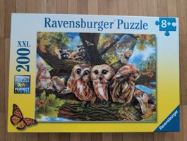 Puzzle Eulen Waldtiere 200Teile gebrauchter Zustand