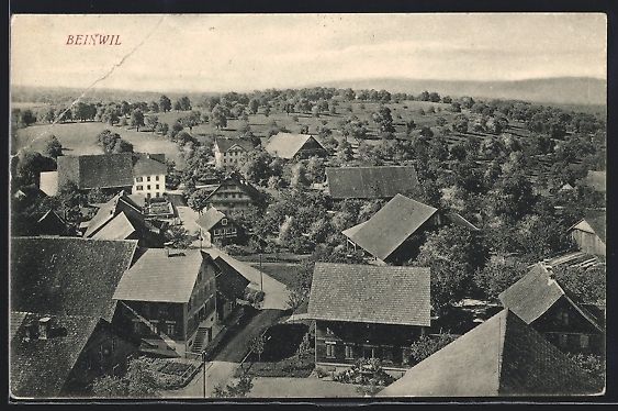 Cartoline postali: Beinwil /AG, Strassenpartie mit Bäumen – Usato da Berlin venduto da bartko-reher