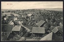 Beinwil /AG, Strassenpartie mit Bäumen