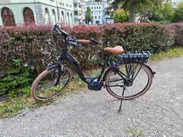 e-Bike Riese&Müller, blueLABEL Swing harmony