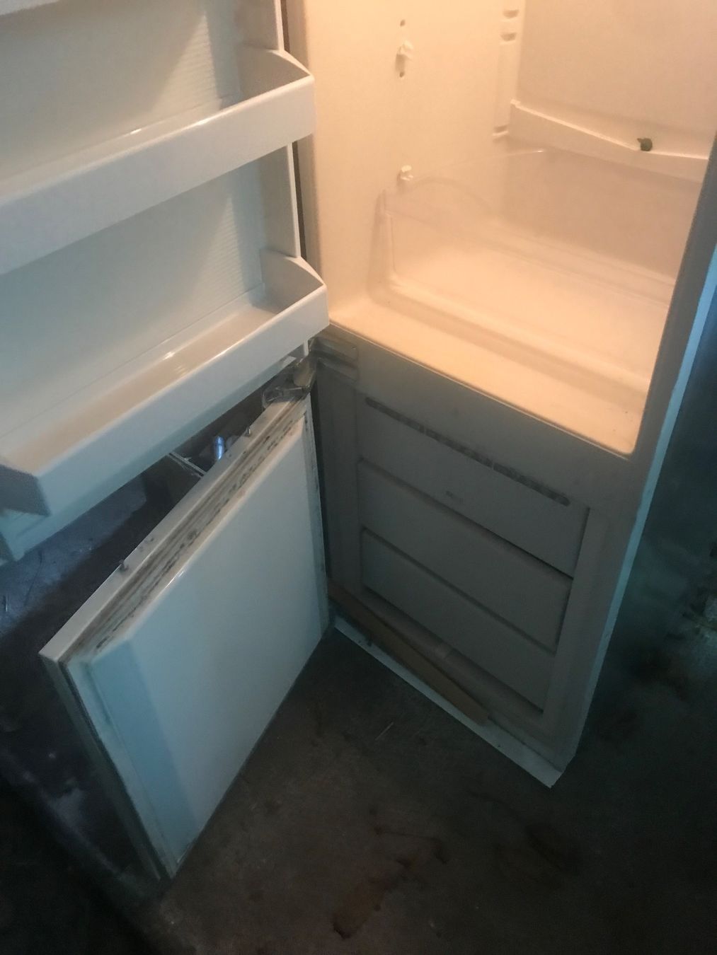 V-Zug Kühlschrank: Einbaukühlschrank 310 ltr – Gebraucht aus Eichberg von Ranney 2
