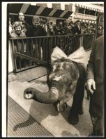 Fotografie Berlin, Kurfürstendamm, Zirk