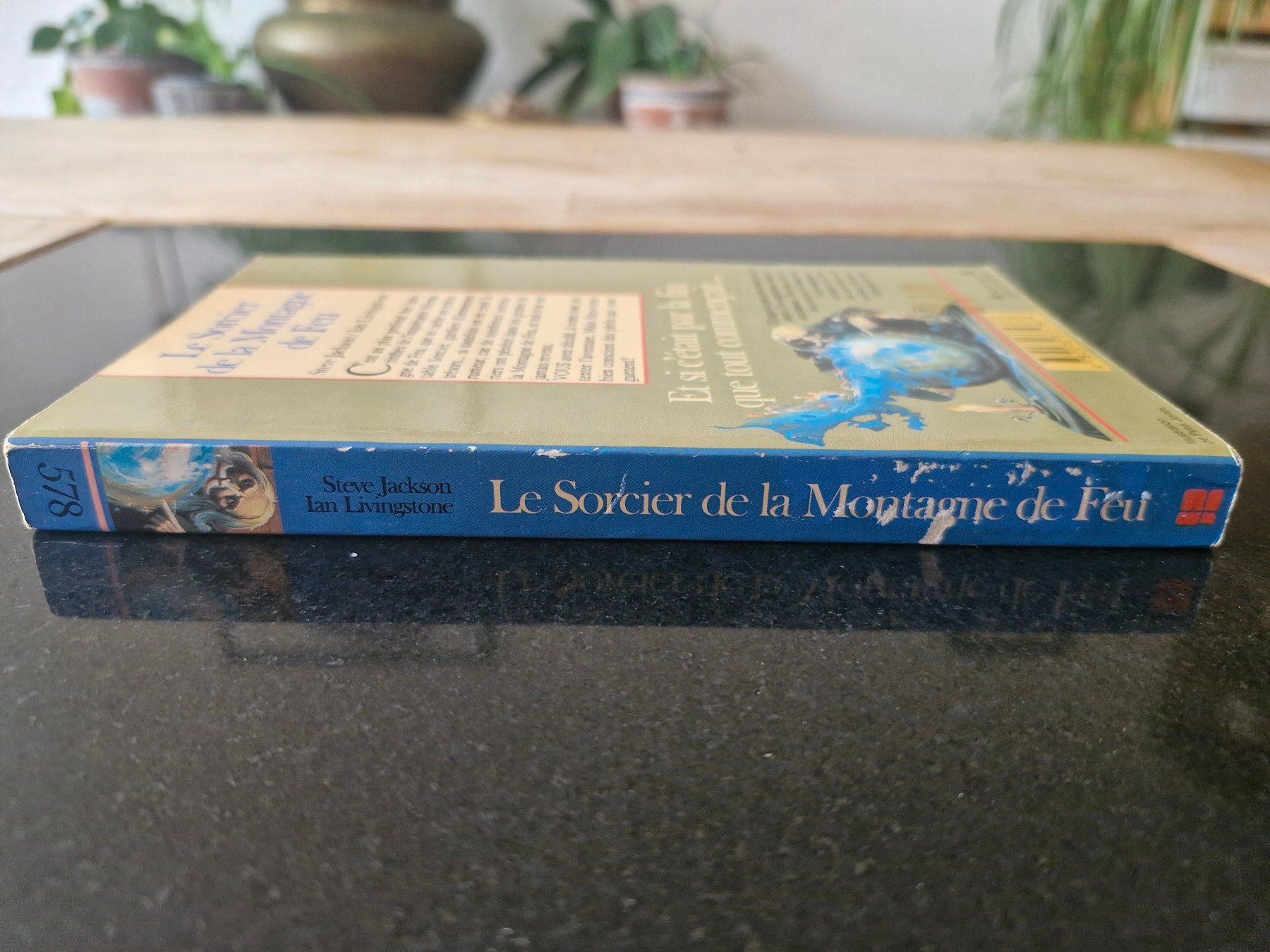 Libri: LDVELH - Le Sorcier de la Montagne de Feu Version spéciale – Usato da Belfaux venduto da Fanfouet 2
