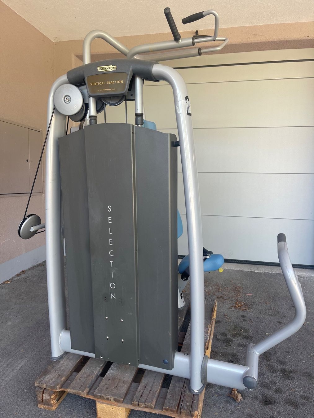 Technogym Hometrainer: 2 Rückenmaschinen - Steckgewichte – Usato da Killwangen venduto da 1112merlini 1