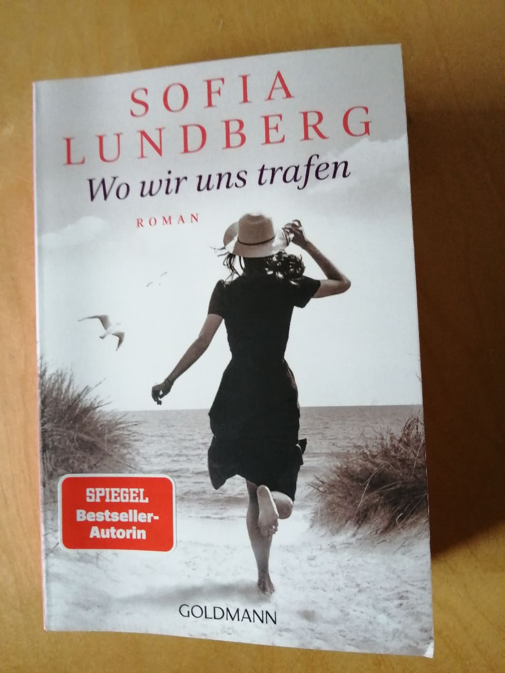 Libri: Sofia Lundberg - Wo wir uns trafen - Roman – Usato da Honau venduto da holunder3