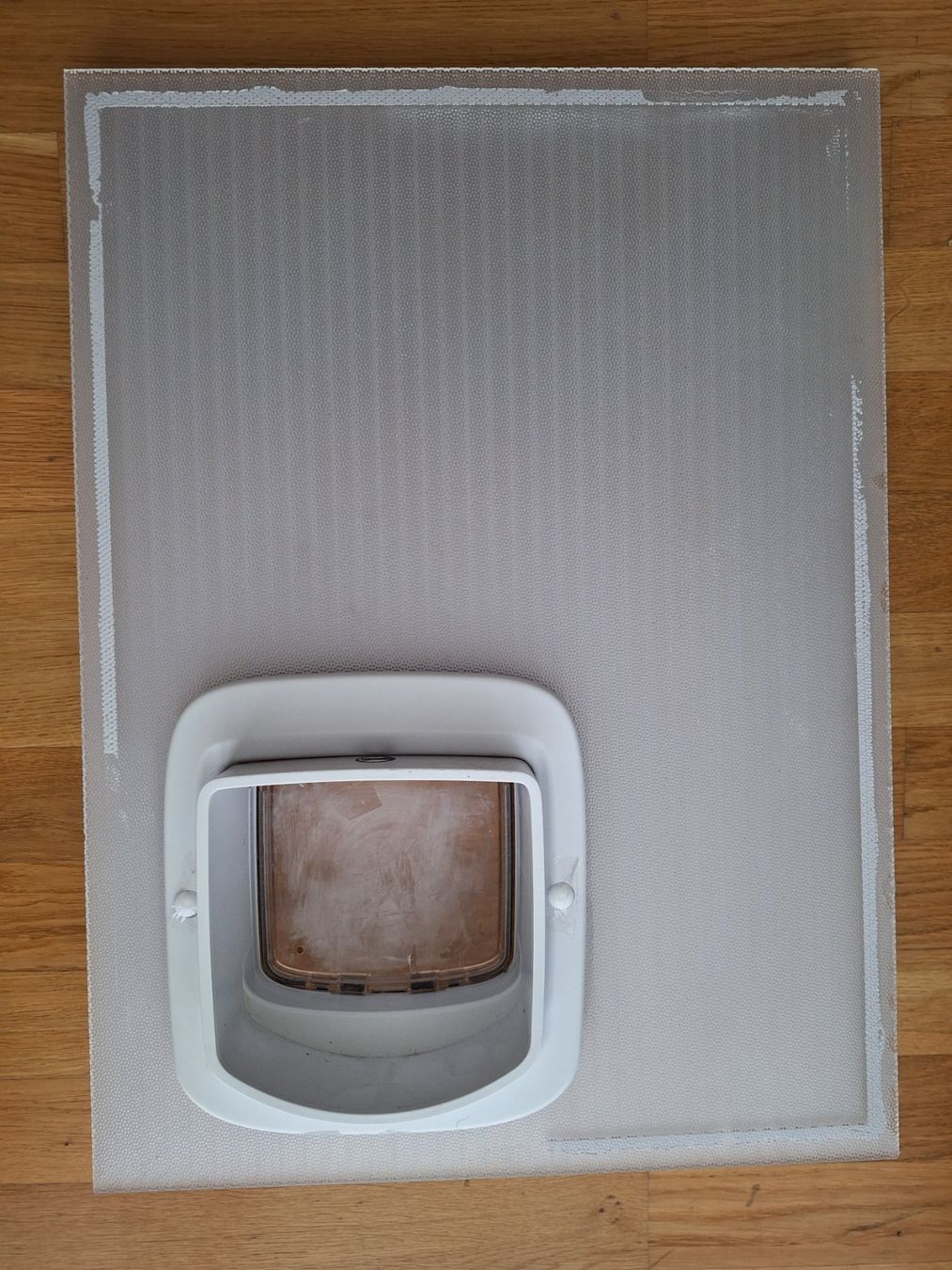 Gattaiole: PetSafe Katzenfenster – Usato da Burgdorf venduto da W31S 1