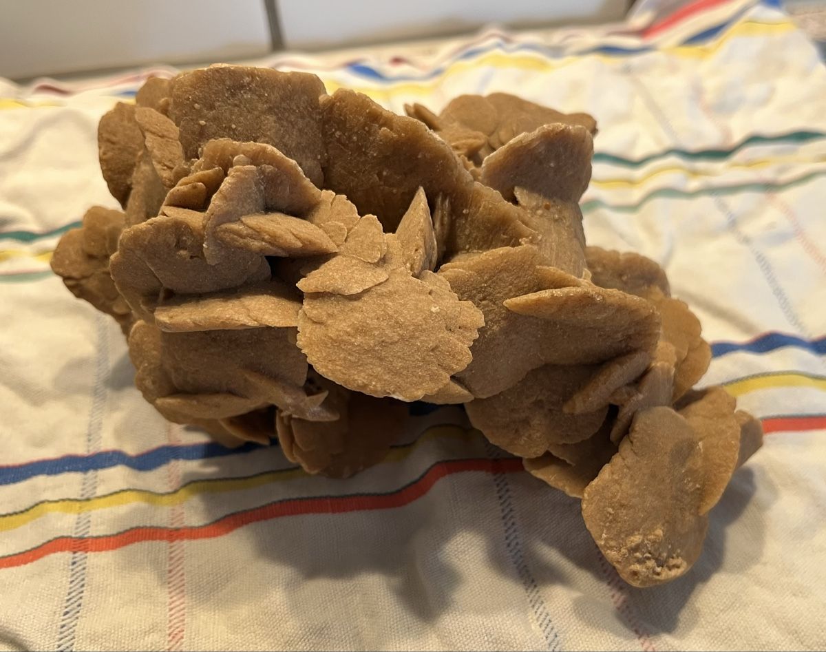 Minerali & Pietre curative: Véritable rose des sables – Usato da La Neuveville venduto da MaSandri 2