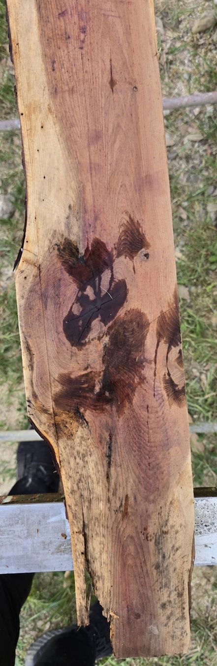 Articoli in legno: Altes Holzbrett  – Usato da Rorschacherberg venduto da snOOpydOg11 2
