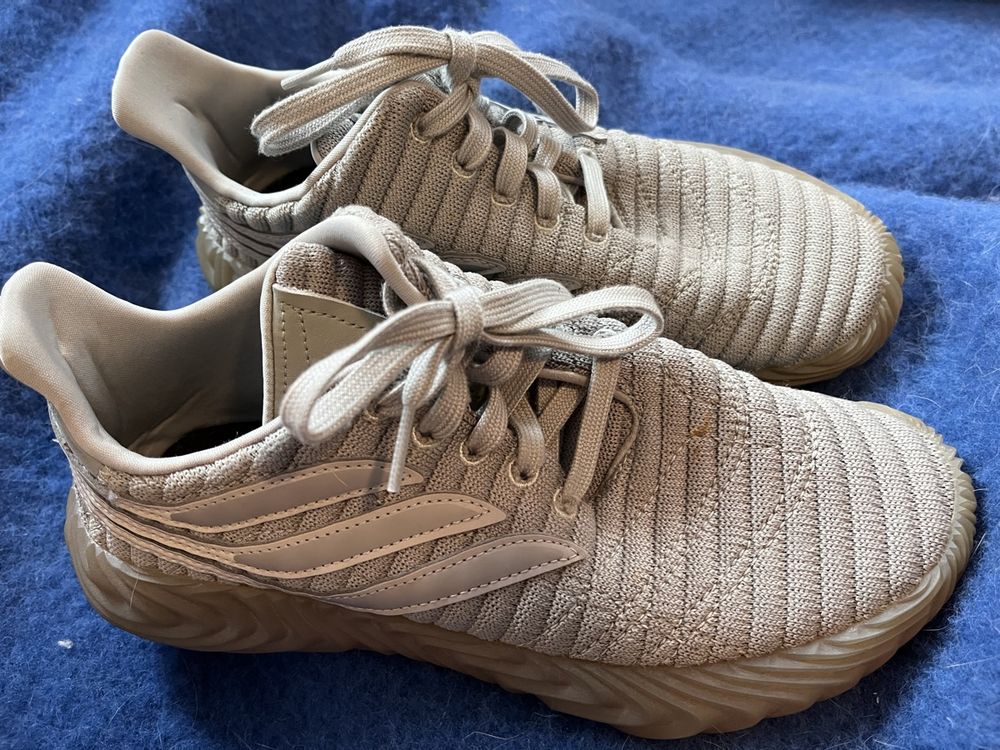 Adidas 2024 sobakov 39