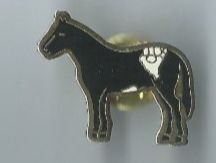 Placchette & Badge: Pferde Pin – Usato da Zürich venduto da t24_de