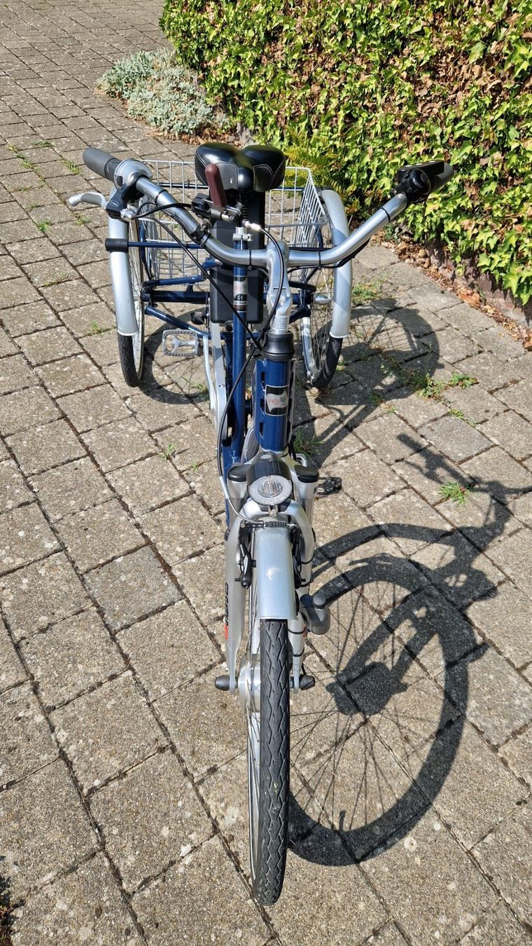 Veicoli elettrici: Elektro 3 Rad Velo – Usato da Seengen venduto da Pfoesu07 1