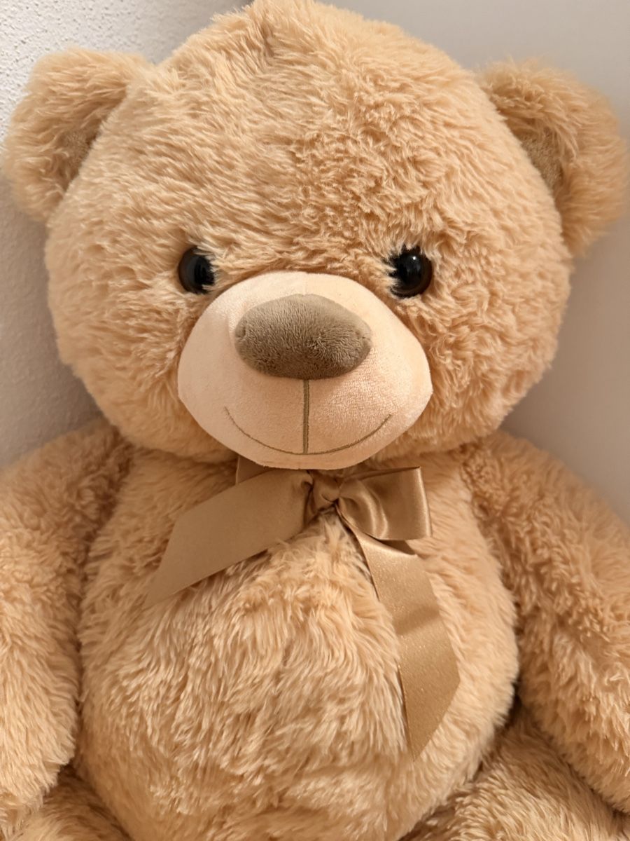 Jouets: Teddybär – D'occasion à Zürich par ila_5889 3