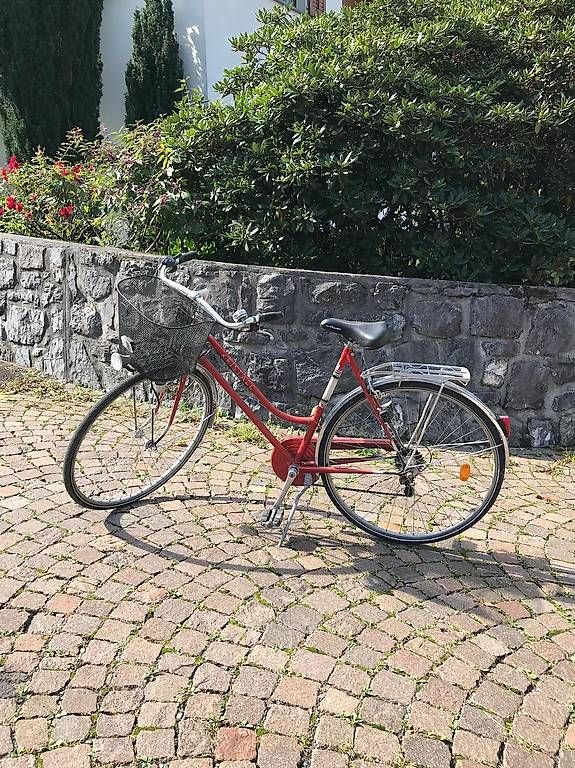 Vélos: Vintage Velo – Défectueux à Mosnang par Nilya_Erdo 4