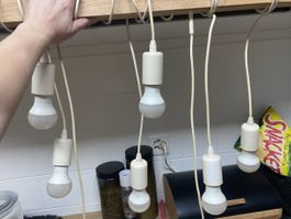 Lampe