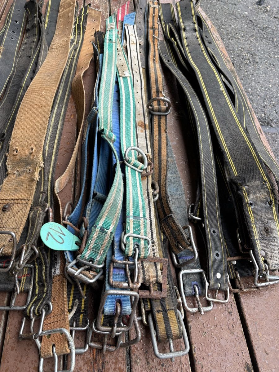 Glocken & Treicheln: 35 Stk. Kuhhalsbänder/ Nylonriemen – Gebraucht aus Schangnau von Roseggli82 2