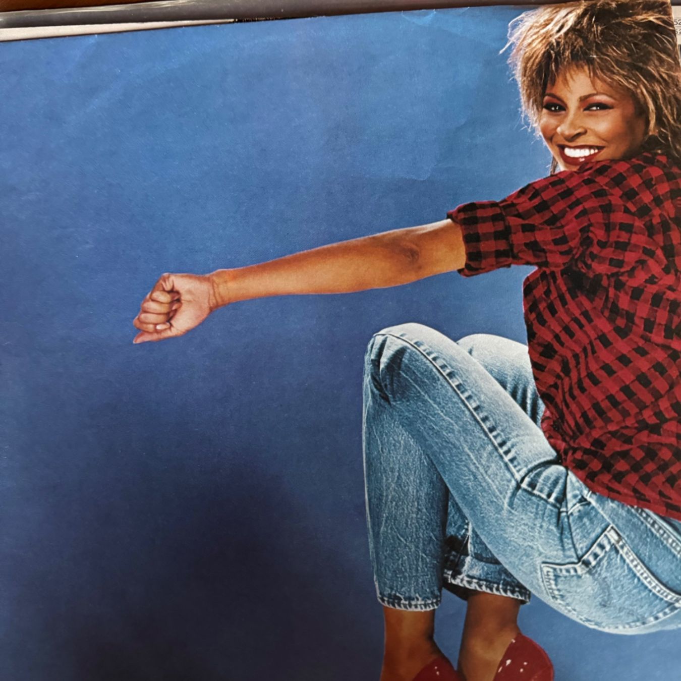 Schallplatten: Vinyl Tina Turner - Private Dancer – Gebraucht aus Merligen von  2