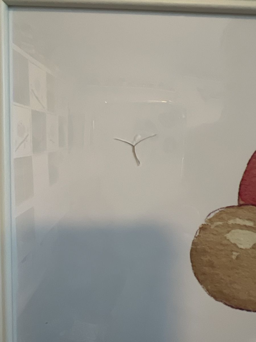 Foto & Immagini: 7 Bilder für Kinderzimmer – Usato da Möhlin venduto da chb_l96z 8