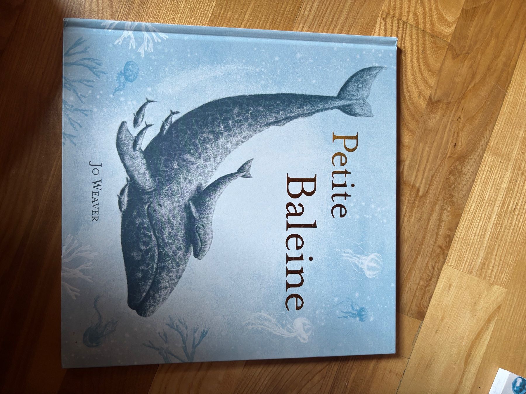 Bücher: livre jeunesse – Gebraucht aus commugny von sarahwild