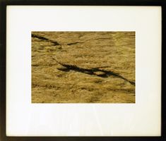 Fotografie: Unter Wasser