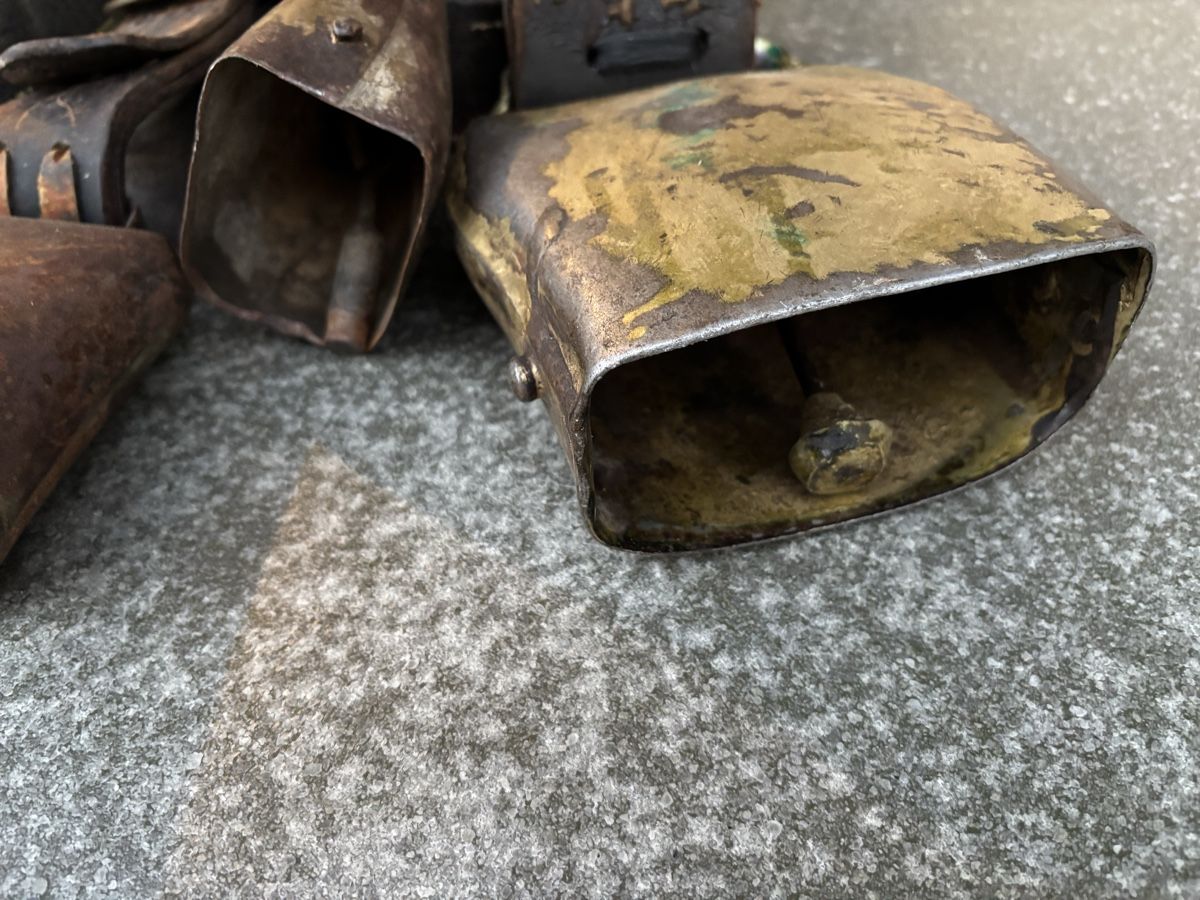 Campanacci mucche: 4 Bissen. – Usato da Schangnau venduto da Roseggli82 5