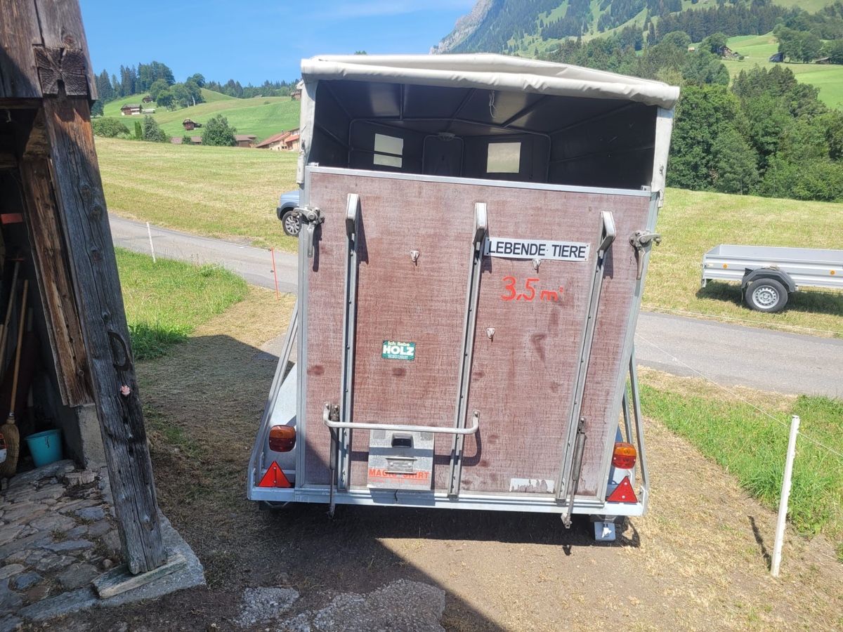 Marolf Rimorchi: Viehanhänger Marolf  – Usato da Sigriswil venduto da ck56 4