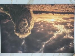 Löwe Wandbild