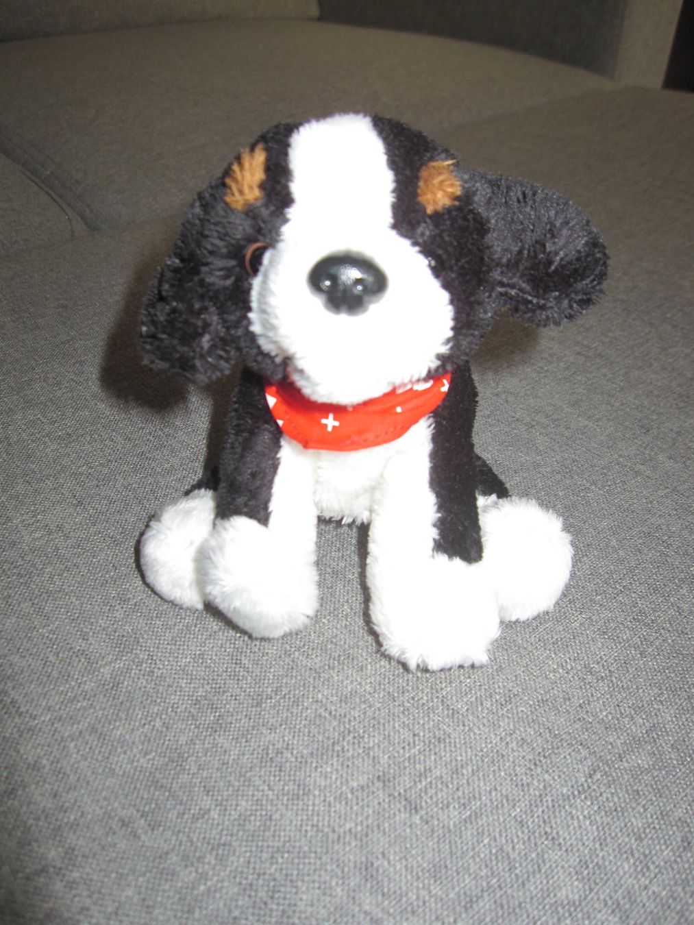 Spielzeuge: Stofftier, Berner Sennenhund ca. 14 cm – Gebraucht aus Wettingen von Sk8ertomda 4