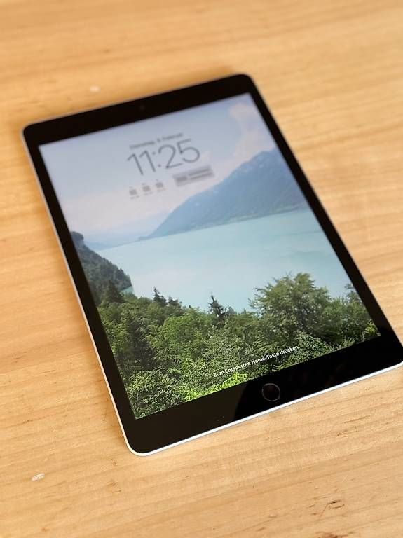 Apple Tablet PC: iPad 9, 64 GB, space grey – Gebraucht aus Zürich von badeferien 3