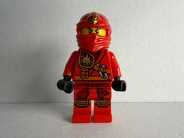 Kai (Jungle Robe) - Tournament of Elements (njo0121)