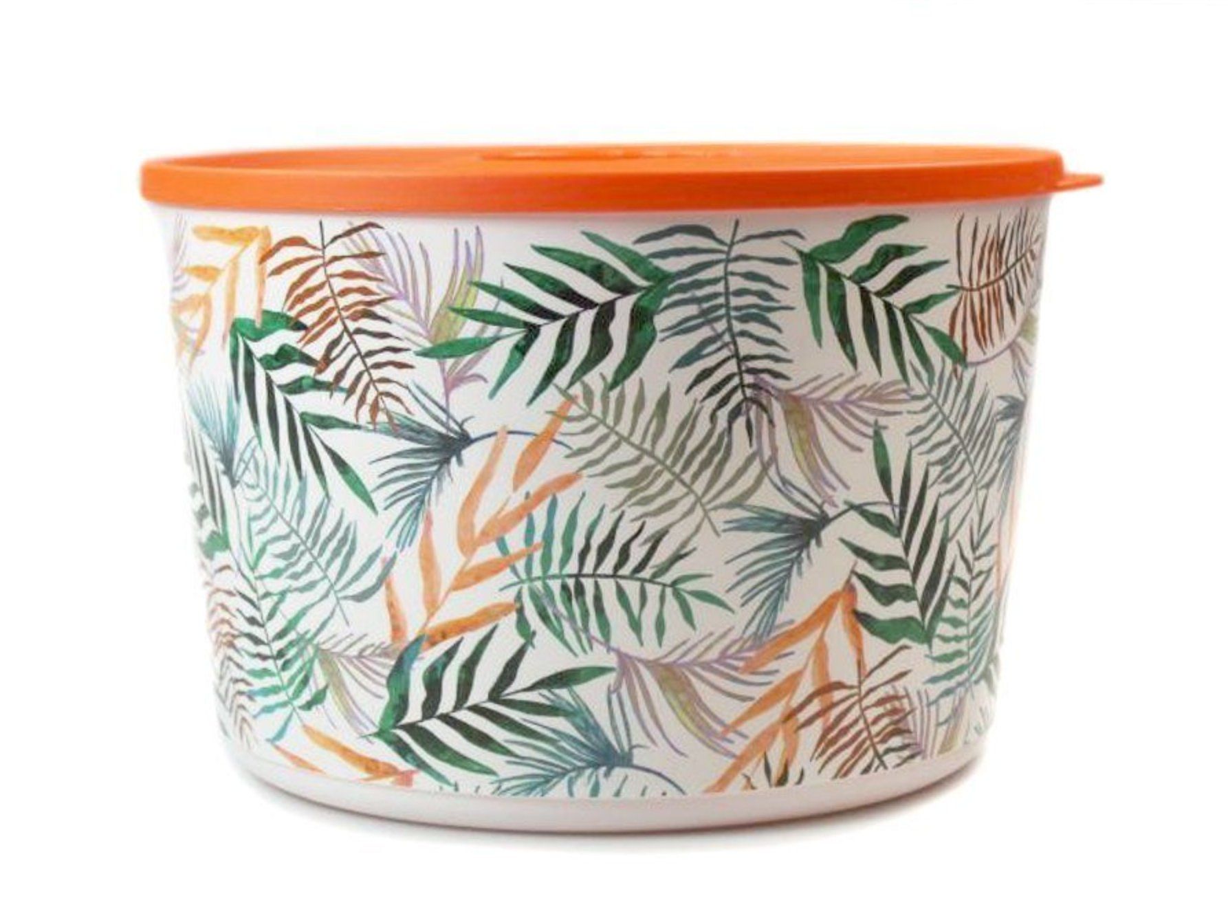 Tupperware Contenitori & Simili: Tupperware - Illumina – Nuovo (secondo la descrizione) da Kaufdorf venduto da bambulka22