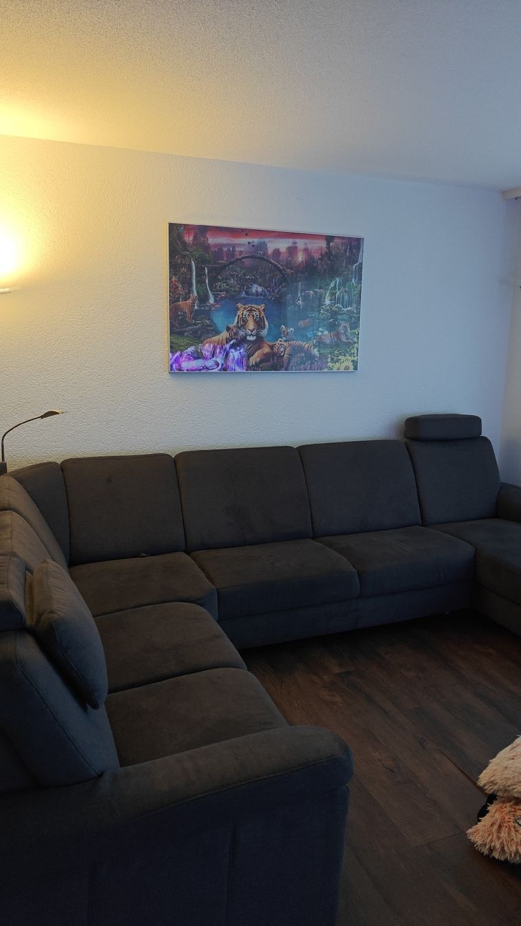 Sofas: Wohnlandschaft mit Schlaffunktion – D'occasion à Derendingen par Florian_8 2