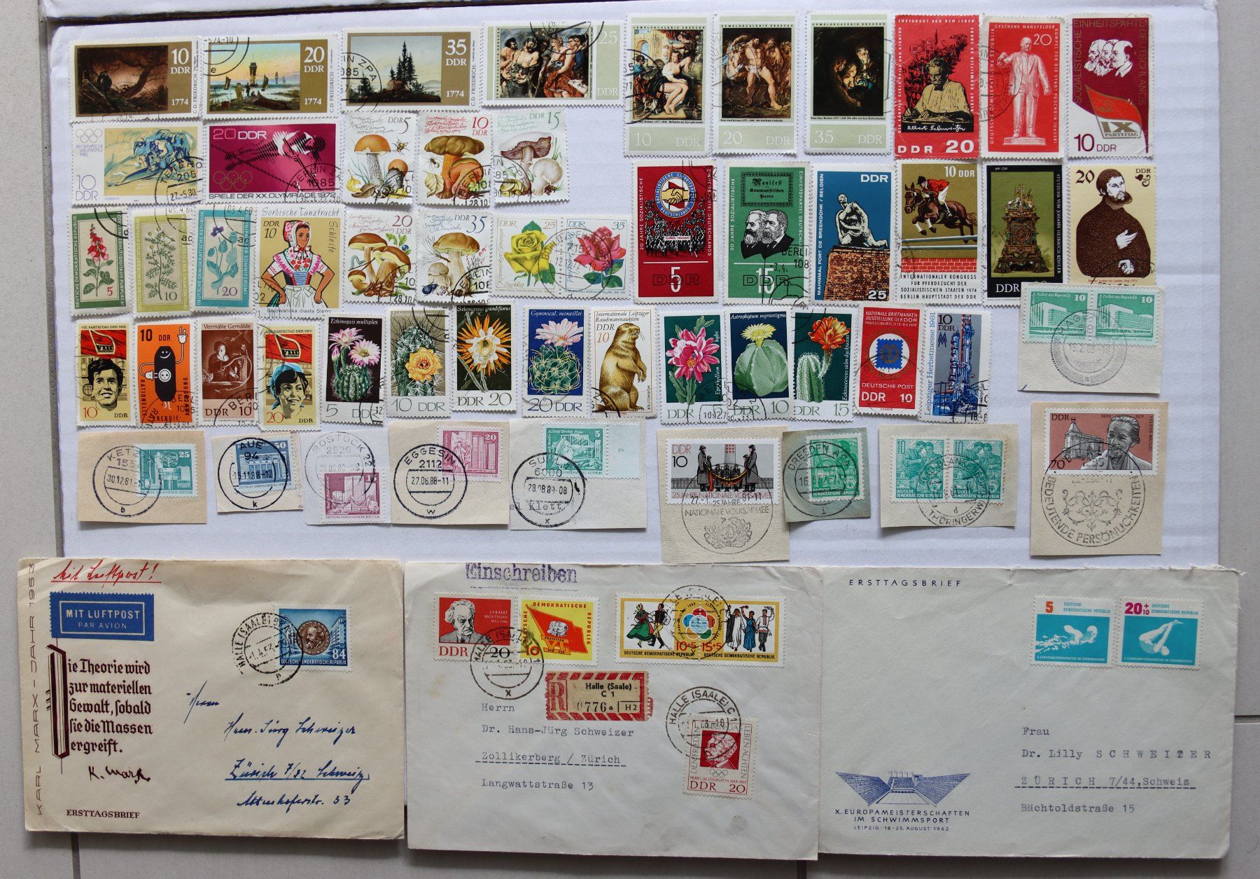 Tutti i francobolli: Briefmarken DDR – Usato da Oberentfelden venduto da lakipul 4