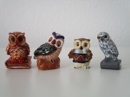 Eulen / Uhu