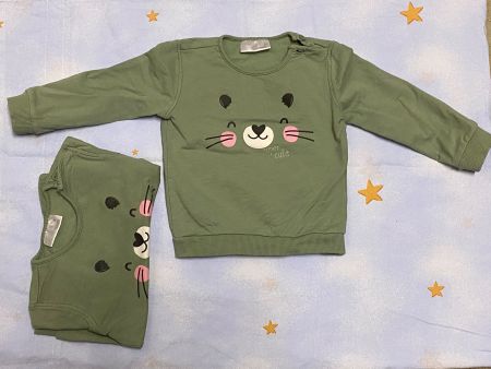 Sweatshirt in Grösse 80 ideal für Zwillinge