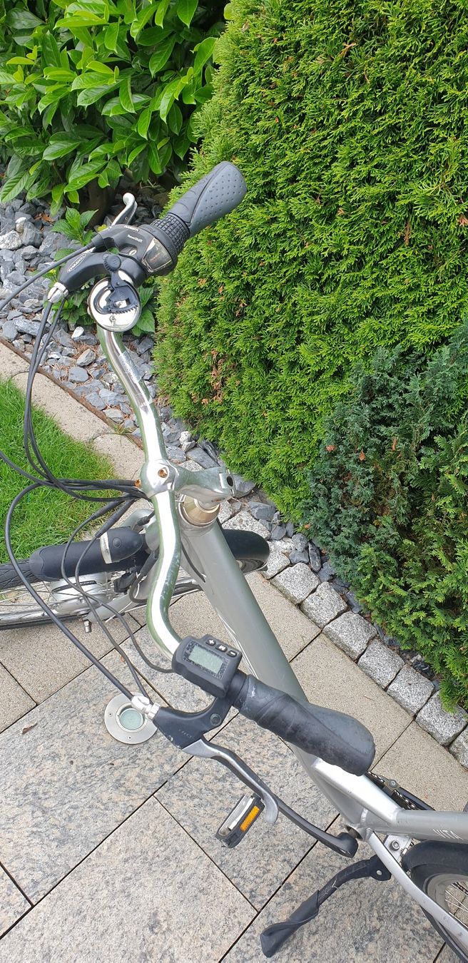 Leopard Biciclette: E Velo Damen Leopard – Usato da Wynau venduto da cloos01 5