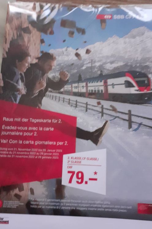 DUO TAGESKARTE 2. Klasse ohne Halbtax | Kaufen auf Ricardo