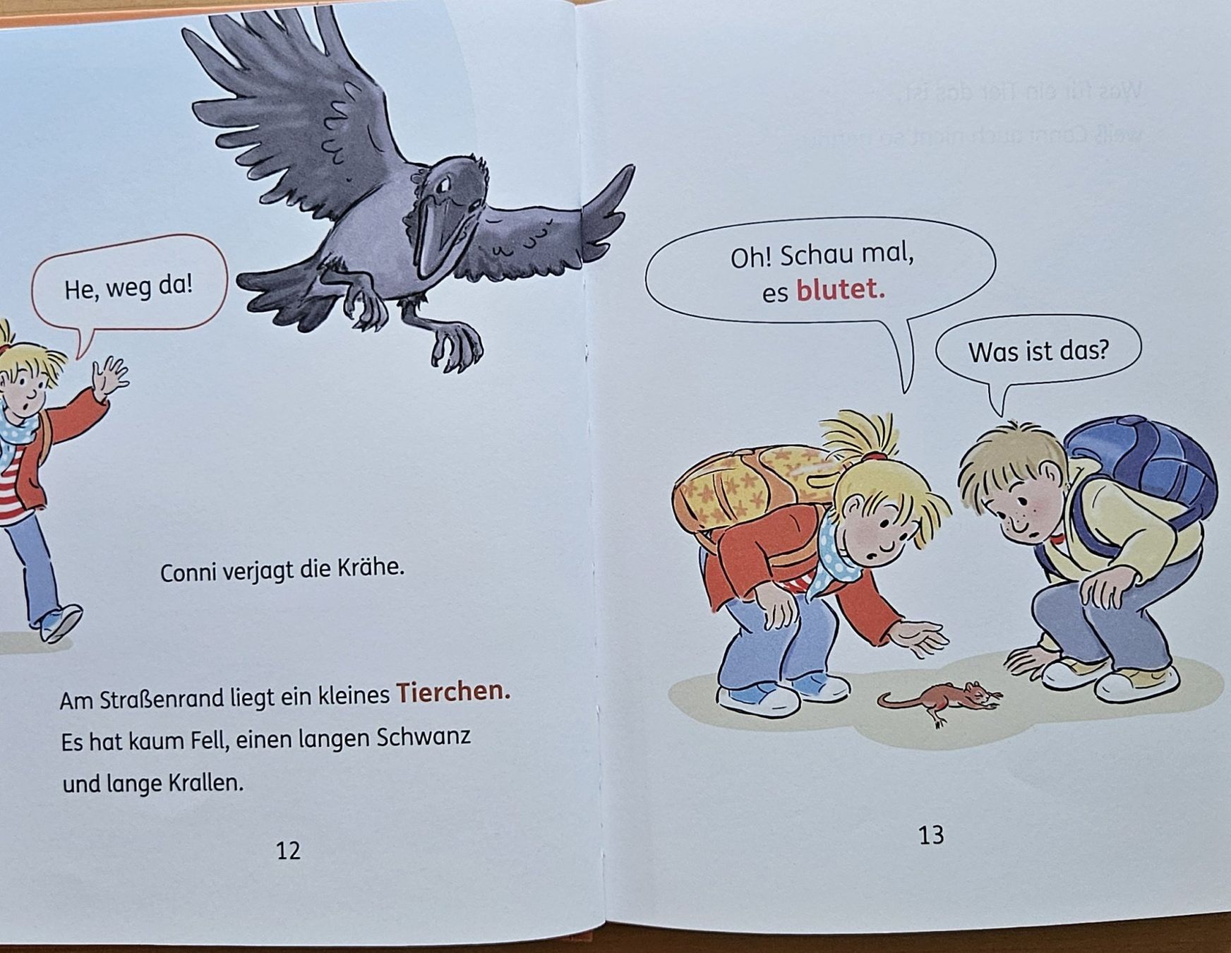 Libri: Julia Boehme: Conni und das Eichhörnchen – Usato da Schaffhausen venduto da asyouwestley 5