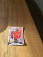 Panini extra Sticker